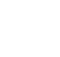 Fluoride Free